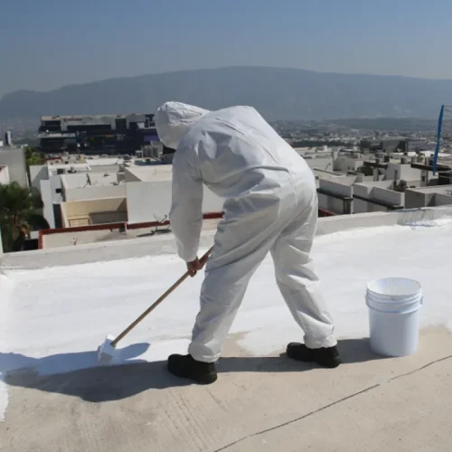 Roof Inspections